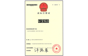 宜安特商標(biāo)注冊(cè)證